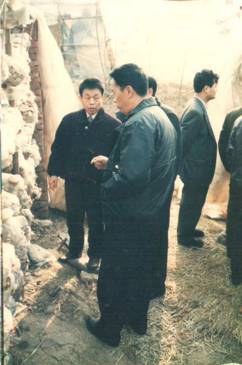 舞钢市政协主席胡福顺来公司种植基地指导工作